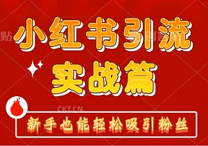 2024年全新小红书引流实战篇，无门槛，新手也能轻松吸引粉丝-二八网赚