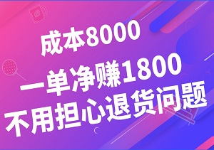 成本8000，一单赚净1800，一年悠闲卖个80-100单，不用担心退货【文章】-二八网赚