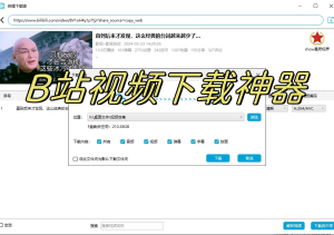 B站视频下载神器，可以一键下载博主列表全部视频，包含弹幕，音频，封面等-二八网赚