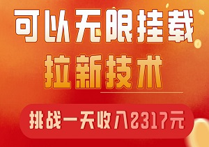 【全网独家】2024年全新升级版，可以无限挂载拉新的技术，有人用这个一天收入2317元-二八网赚