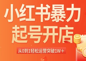 2024小红书起号攻略：0基础开店到1W+粉丝，全套教程11节，轻松运营爆红秘籍！-二八网赚