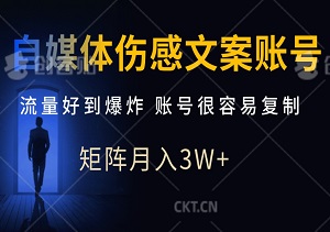 自媒体伤感文案账号，轻松打造流量爆款！简单制作，快速复制，矩阵运营月入3W+不是梦！-二八网赚