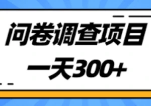 海外问卷调查详细教程，一个视频教会你怎么做问卷调查站点查，从此告别当韭菜-二八网赚