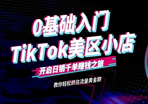 0基础入门TikTok美区小店，轻松抓住流量黄金期，快速开启日销千单赚钱之旅！-二八网赚