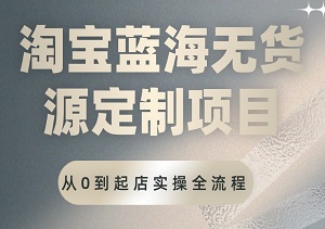 淘宝蓝海无货源定制项目揭秘：从零到起店，全流程实操指南，给自己打造一份安心副业-二八网赚