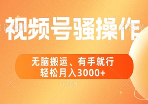 视频号最新一期爆款秘籍：全新无脑玩法，轻松日赚3000+-二八网赚