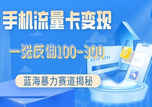 蓝海赛道揭秘：0投入，高回报，开启流量卡变现新时代，轻松实现月入万元梦想！-二八网赚