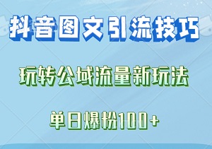 抖音图文引流技巧，玩转公域流量新玩法，单日爆粉100+-二八网赚