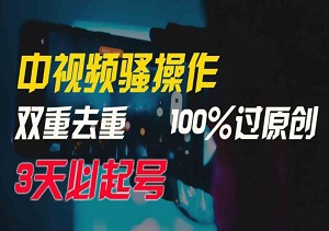 中视频骚操作，双重创新确保原创度，3天助你账号起飞，轻松上手，月赚过万！-二八网赚