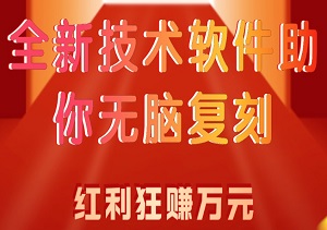 震撼来袭！全新技术软件助你无脑复刻，多重平台红利狂赚万元，小白也能秒变赚钱高手，轻松上手不是梦！-二八网赚