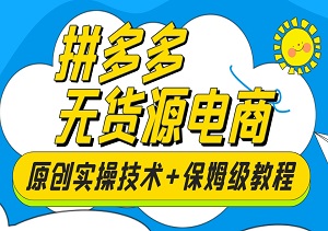 拼多多无货源电商实操秘籍：高阶技术更新，新手开店保姆级教程-二八网赚