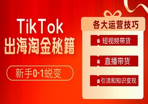 TikTok-出海淘金秘籍：新手0-1蜕变，短视频直播带货引流变现全攻略！-二八网赚