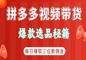 拼多多视频带货爆款选品秘籍：每日轻松赚取三位数佣金，快速打造热销爆款！-二八网赚