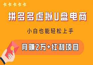 拼多多虚拟U盘电商：月赚2万+红利项目，小白也能轻松上手！-二八网赚