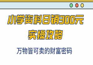 揭秘小红书火爆秘籍：小学资料日销300元实操攻略，万物皆可卖的财富密码！-二八网赚