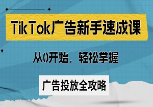 TikTok广告新手速成课：从0开始，轻松掌握TikTok广告投放全攻略！-二八网赚