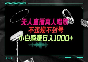 抖音24小时无人直播音乐，不违规，不封号纯撸音浪，小白实操当天日入1000+-二八网赚