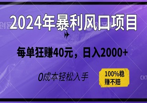 2024年暴利风口项目，0成本轻松入手，每单狂赚40元，日入2000+，无脑操作，100%稳赚不赔！-二八网赚