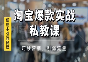 淘宝爆款实战私教课：低成本引流秘籍，0基础商家也能轻松玩转电商运营！-二八网赚