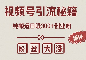 揭秘批量可复制的视频号引流秘籍，纯搬运也能日吸300+创业粉，轻松实现粉丝暴涨！-二八网赚