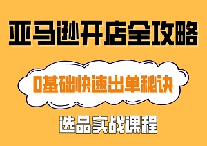 亚马逊开店全攻略：0基础快速出单秘诀与选品实战课程-二八网赚