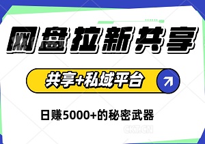 揭秘：网盘拉新共享+私域平台，0粉起号新玩法，日赚5000+的秘密武器！-二八网赚