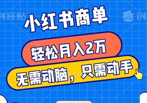 小红书商单项目，轻松月入2万！无需动脑，只需动手，详细教程，一看就会！-二八网赚