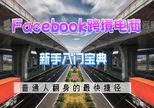 Facebook跨境电商：新手入门宝典，开启全球贸易新征程，普通人翻身的最快捷径！-二八网赚