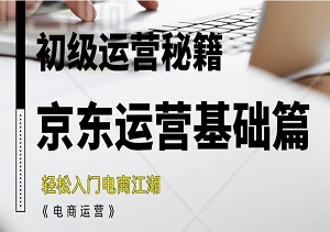 京东运营基础篇：全面解锁初级运营秘籍，轻松入门电商江湖-二八网赚