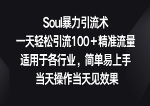 Soul精准引流术：一天轻松吸引100+目标用户，全行业适用，简单易操作！-二八网赚