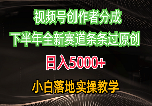 视频号创作者分成计划，日入5000+揭秘，下半年原创赛道全线开通，小白也能轻松实操！-二八网赚