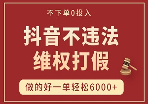 2024抖音不违法不下单0投入维权打假，做的好一单轻松6000+【仅揭秘】-二八网赚