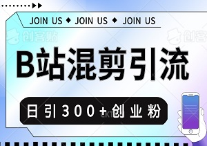 B站混剪视频引流秘诀大公开：日引300+创业粉，新手小白也能轻松驾驭！-二八网赚