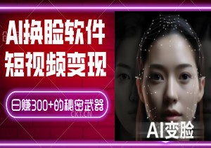 2024短视频变现，AI换脸软件，小白轻松上手，日赚300+的秘密武器！-二八网赚