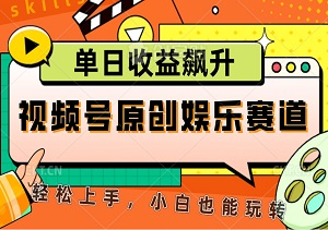 视频号原创娱乐赛道：揭秘单日收益飙升的爆款秘籍，轻松上手，小白也能玩转！-二八网赚