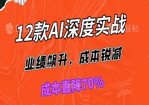 AI赋能新纪元：12款AI深度实战，打造商业闭环矩阵，助力电商/实体成本直降70%-二八网赚