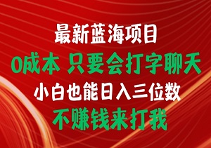 揭秘最新蓝海项目：0成本打字聊天，小白也能轻松日赚三位数！不赚钱？我负责！-二八网赚