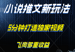 揭秘小说推文新玩法：5分钟打造独家视频，B站中视频带你飞向多重收益！-二八网赚