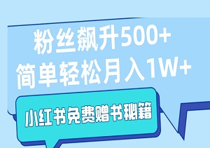 揭秘小红书免费赠书秘籍：粉丝日飙升500+，简单轻松月入1W+-二八网赚