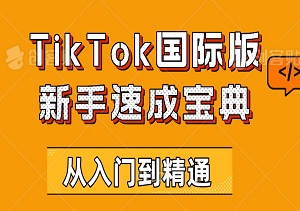 TikTok国际版新手速成宝典：从入门到精通，小白也能轻松掌握！-二八网赚