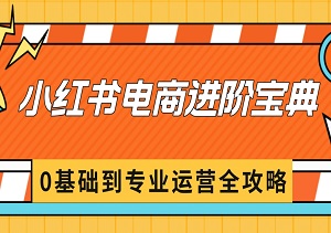 小红书电商进阶宝典：从0基础到专业运营全攻略！-二八网赚