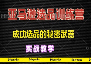 亚马逊选品精英训练营：揭秘成功选品的秘密武器，带你轻松掌握选品之道！-二八网赚