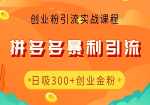 2024年拼多多独家揭秘：暴利引流，日吸300+创业粉，轻松上手，财富滚滚来！-二八网赚