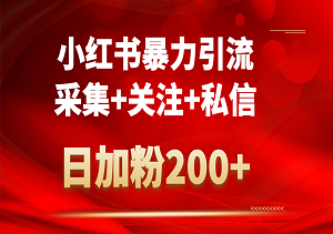 全自动引流神器，日加粉200+，小红书精准引流（采集+关注+私信）-二八网赚