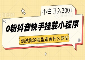 0粉抖音快手挂载小程序，测试你的脸型适合什么发型玩法，新手小白日入300+-二八网赚