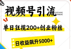 视频号引流，单日狂揽200+创业粉丝，日收益飙升5000+-二八网赚