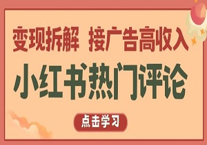 揭秘小红书热门评论变现奥秘，轻松接广告赚取高收入！-二八网赚