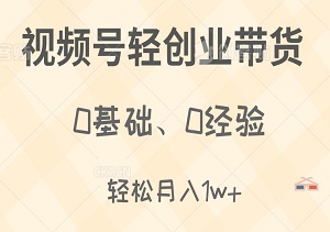 视频号轻创业带货：0基础、0经验，也能月入1w+！-二八网赚