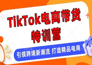 TikTok电商带货特训营：引领跨境新潮流，掘金无界电商-二八网赚