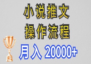 【新玩法】小说推文项目操作流程，月入20000+-二八网赚